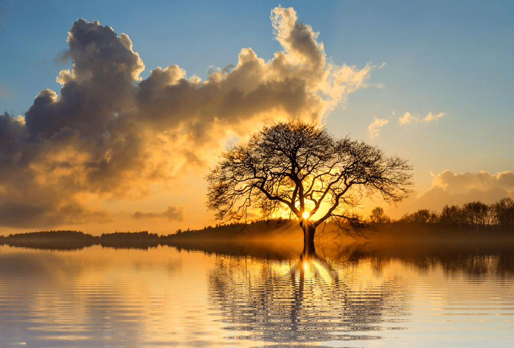 Kreativehexenkueche - Lone Tree (1000x678), Png Download