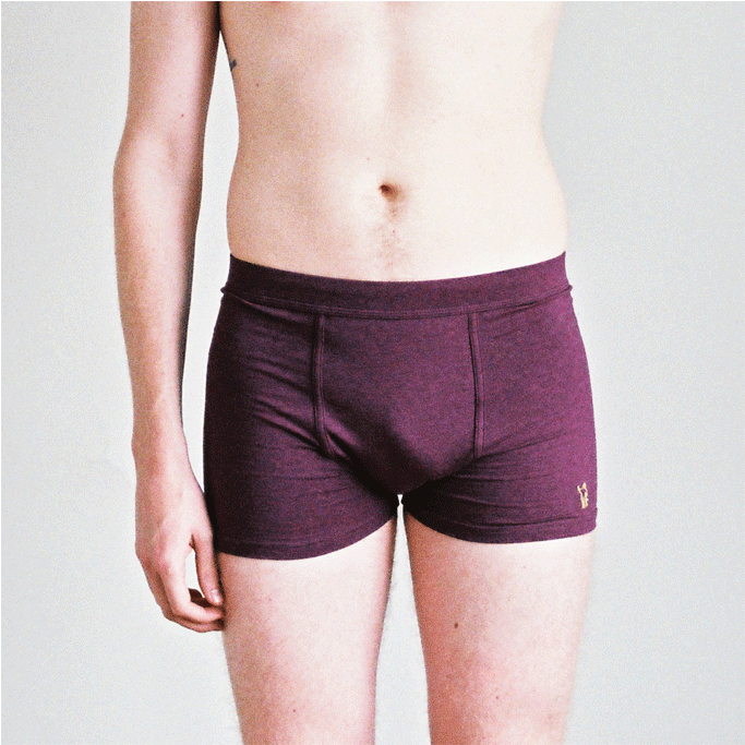 91137 2 - Trunks (682x1024), Png Download