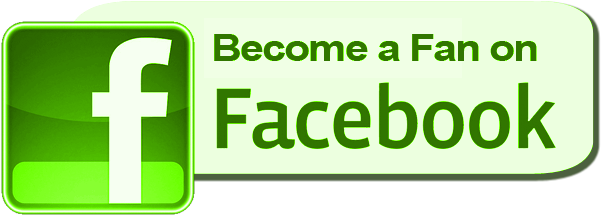 Facebook Like Png Logo Wwwimgkidcom The Image Kid - Find Us On Facebook (818x412), Png Download