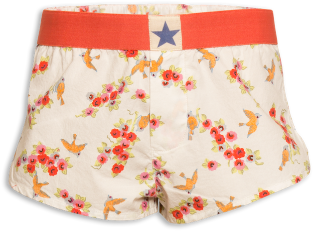 8137 - Board Short (683x768), Png Download