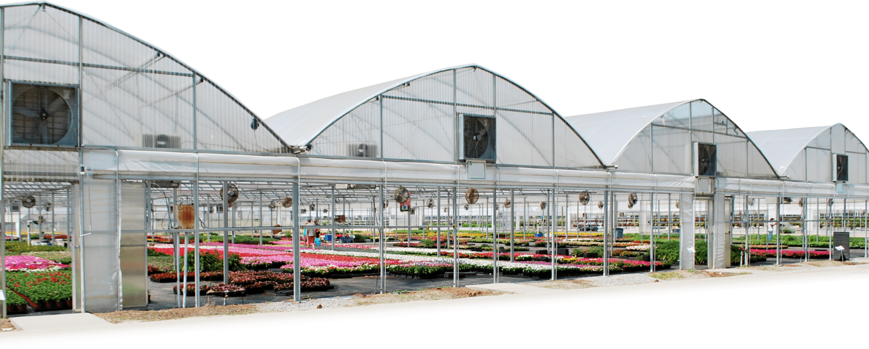 Greenhouse Png - Gutter Connected Greenhouse (1700x683), Png Download