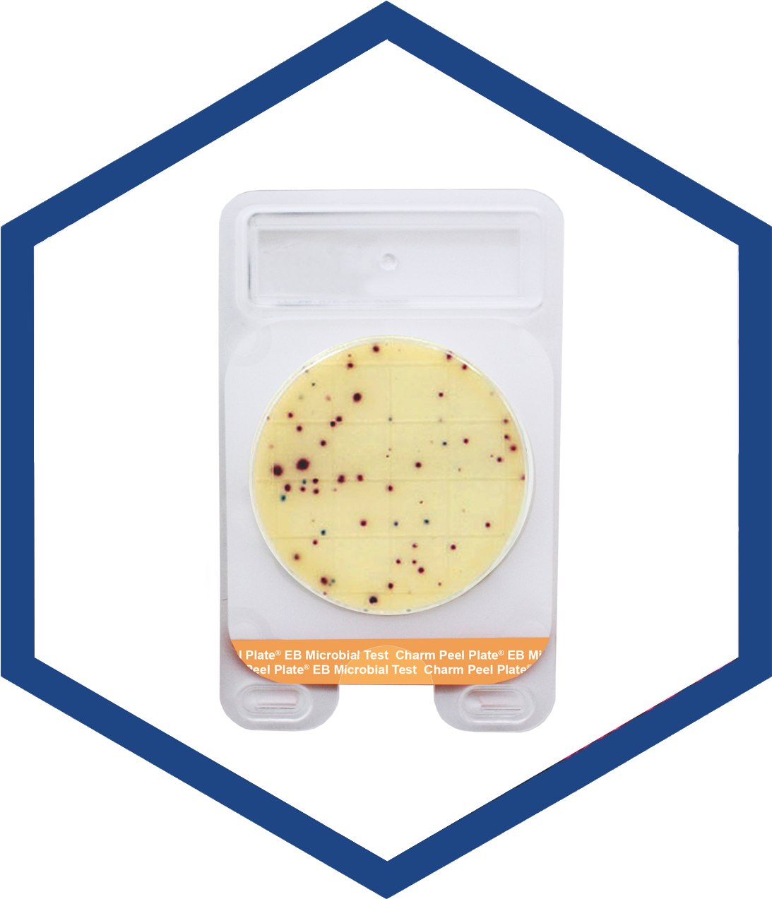 Charm Sciences Announces Microval Approval For The - Food (1241x1277), Png Download