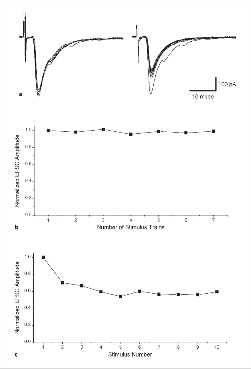 A -fiber Synaptic Responses Evoked In A Dh Neuron By - Diagram (850x1249), Png Download