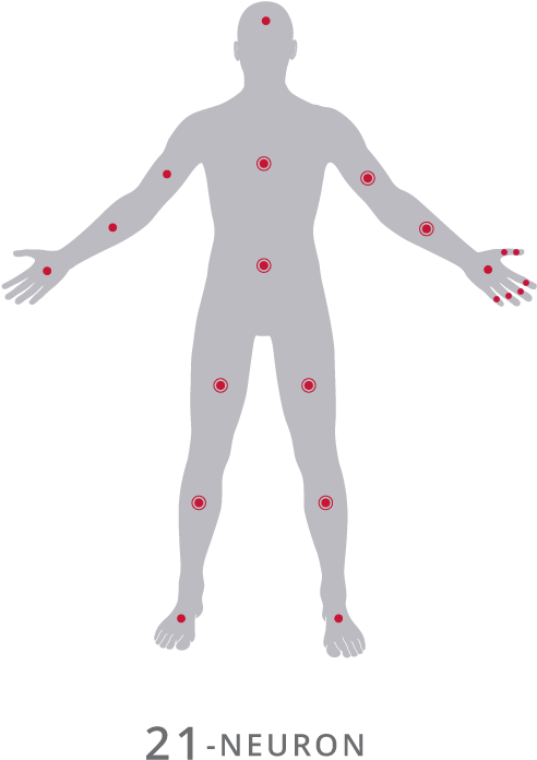 Full Body - Perception Neuron V2 (526x732), Png Download