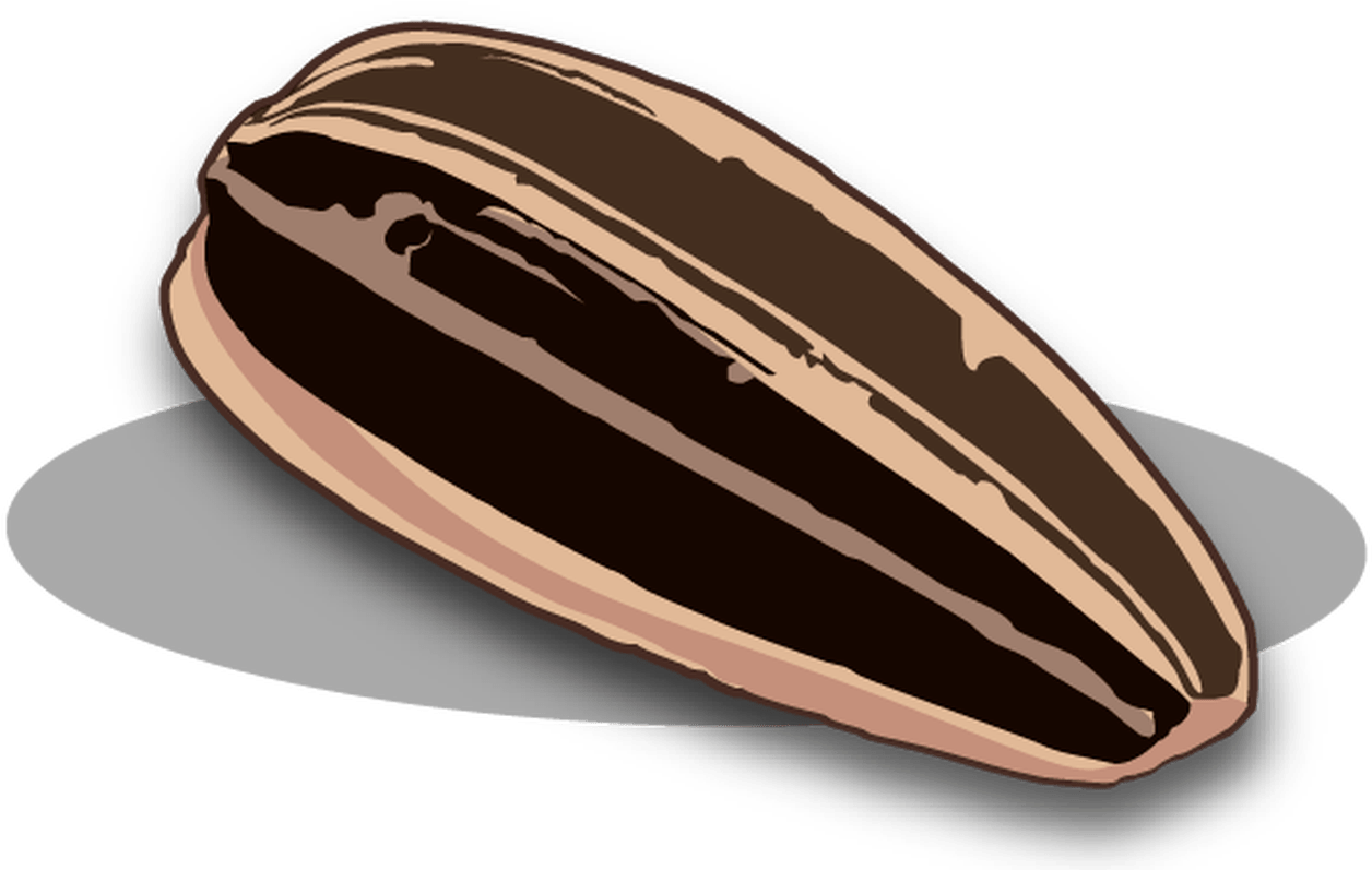 Sunflower Seeds Png Images Free Download - Sunflower Seed Clipart (1368x855), Png Download