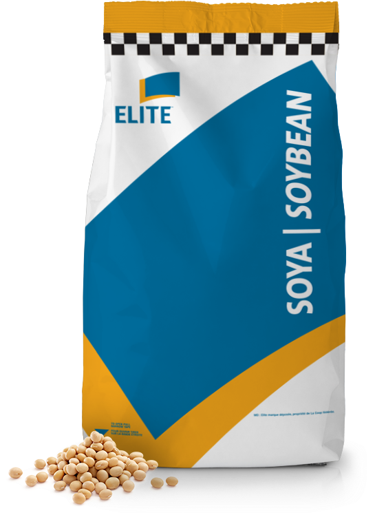 Open-v Inc. (714x749), Png Download