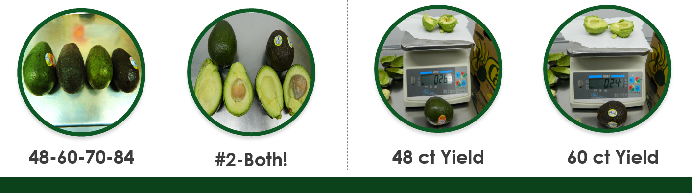 Avocado (1413x394), Png Download