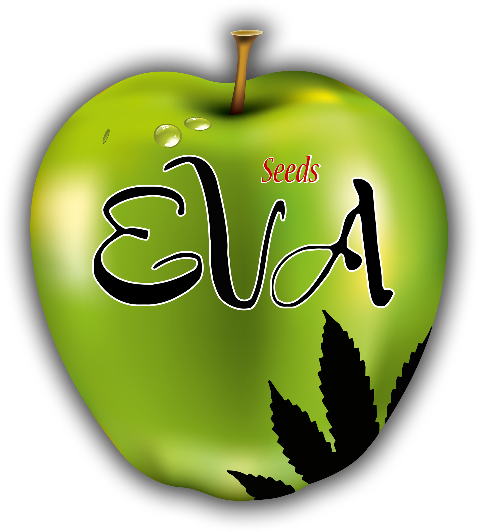 Eva Seeds (2001x2246), Png Download