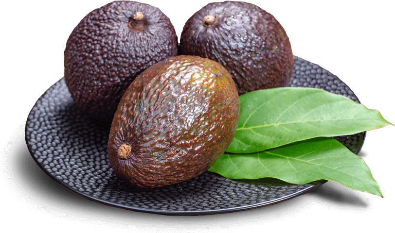 Ripe Avocados On A Plate - Avocado (821x486), Png Download
