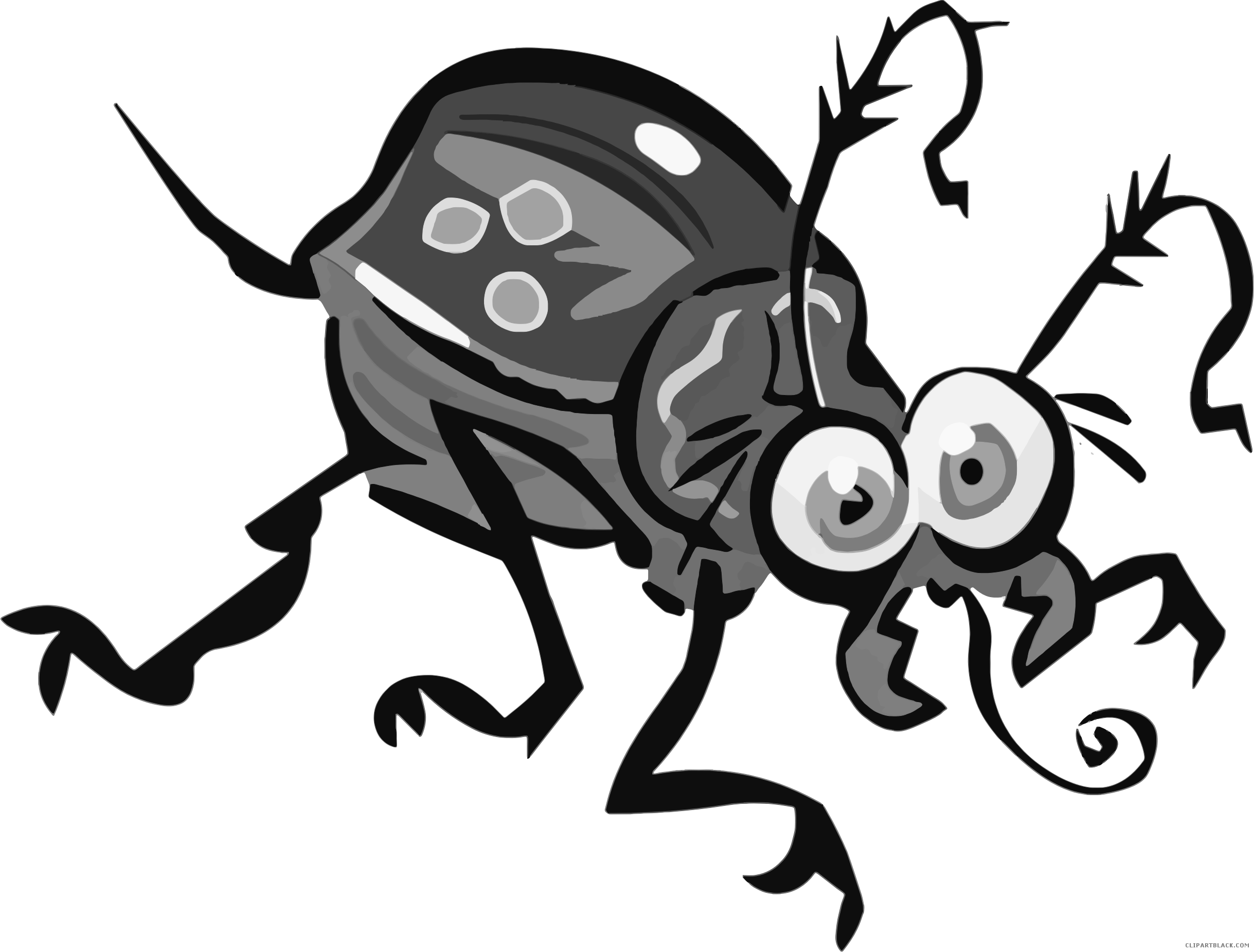 Beetle Clipart - Cartoon Beetle Transparent (2438x1851), Png Download