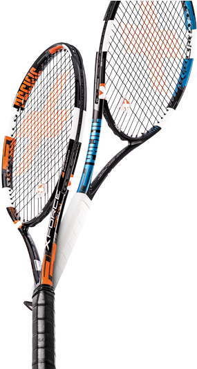 The Established X Force Series - Pacific Tennis Racquets (600x532), Png Download