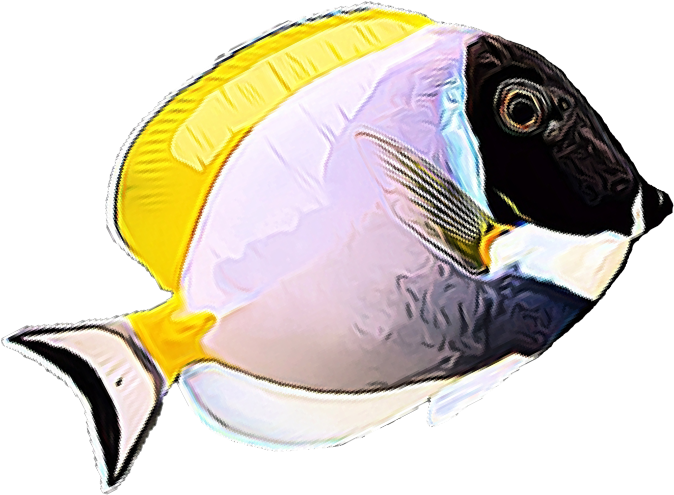 Use - Rock Beauty (2600x1500), Png Download