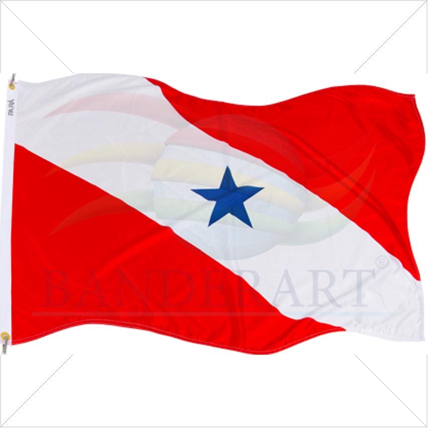 Bandeira Do Pará Oficial 22x33 - Bandeira Do Para Png (600x600), Png Download