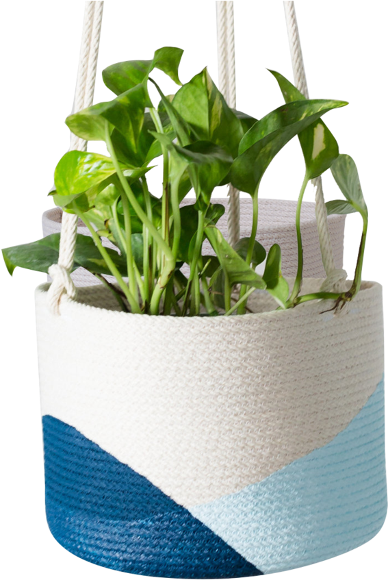 Pale Blue / Ocean - Flowerpot (960x960), Png Download