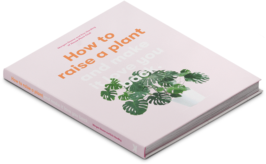 Raise A Plant And Make (1024x1024), Png Download