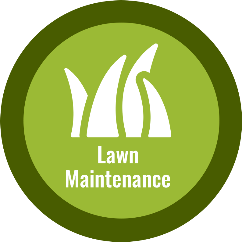 Bring Your Yard Back To Life - Wagamamas (1060x795), Png Download