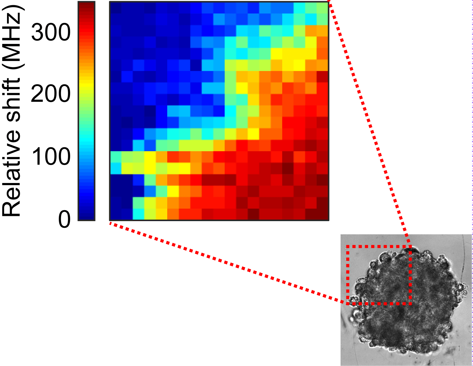 Seeing Inside Tumors To Monitor How Effective An Anticancer - Graphic Design (1550x1200), Png Download