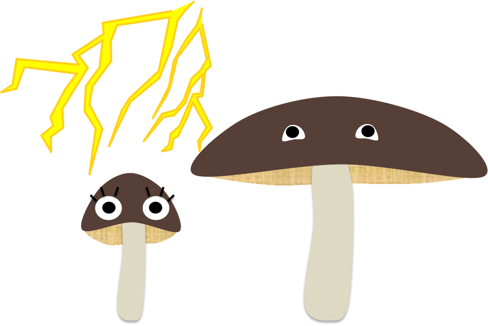 雷キノコ 2 - Shiitake (951x636), Png Download