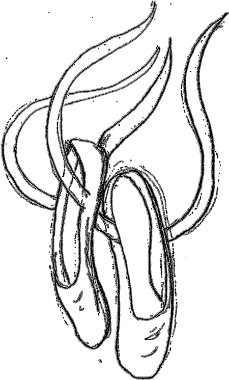 A Perfect World - Ballet Shoes Transparent Clipart (462x750), Png Download