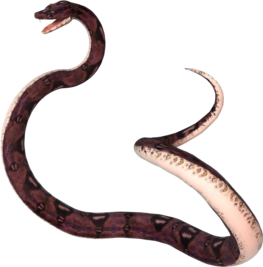Snakes (1024x1024), Png Download