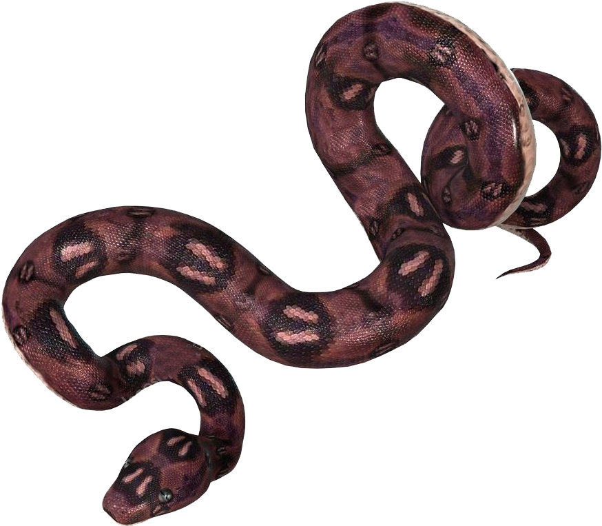 Stock Photography (1024x1024), Png Download