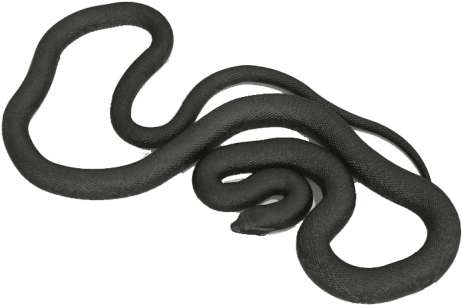 Free Png Anaconda S Png Images Transparent - Smooth Earth Snake (850x479), Png Download