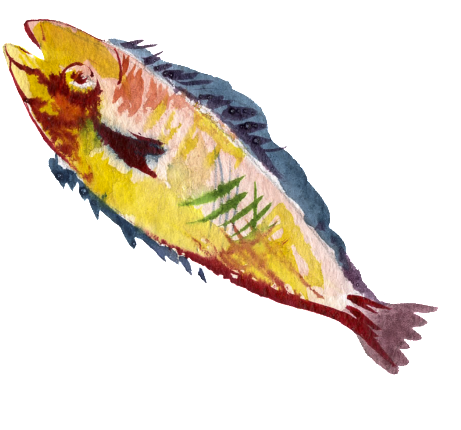 Yellow Fish Watercolor Hand Drawn Transparent - Watercolor Painting (1024x1024), Png Download