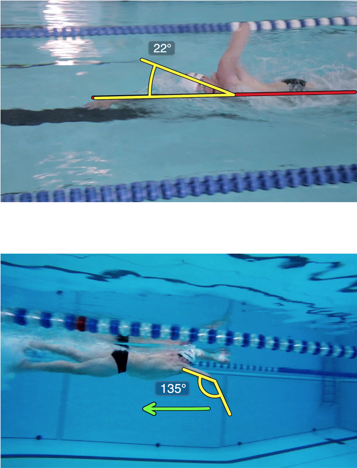 Train Like A Champion - Freestyle Swimming (700x979), Png Download