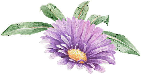 Thank God For The Opportunity For Them To Learn Swimming - Prichard Colón (567x315), Png Download