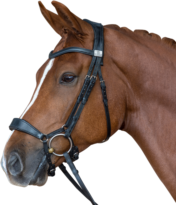 The Fairfax Performance Bridle - Fairfax Bridle (800x865), Png Download