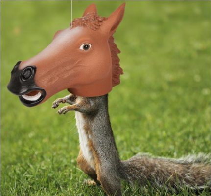 Horse Head Squirrel Feeder - Squirrel Horse Head (600x400), Png Download