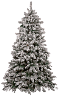 Xmas Tree -png - 7ft Christmas Tree With Snow (350x350), Png Download