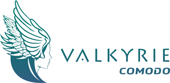 These Detectors Include Binary Level Analysis, Dll - Valkyrie Logo Comodo (585x287), Png Download