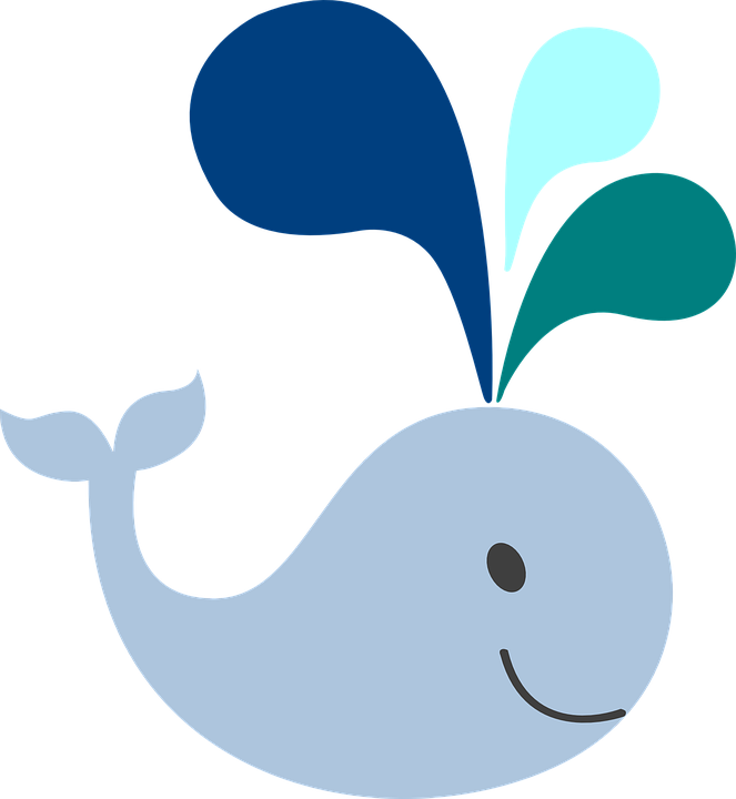 Baby Whale Clip Art - Blue Cartoon Whale (552x599), Png Download
