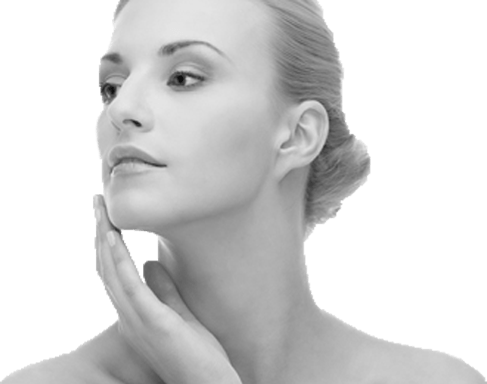 Pagetop Face Pagetop Face - Blog (487x384), Png Download