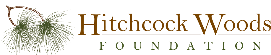 Railroad Tracks Belonging To The South Carolina Canal - House Painter And Decorator (1200x250), Png Download