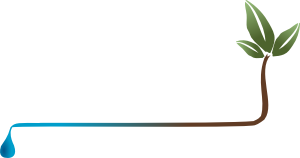 Plant Underline Clip Art At Clker - Plant Underline Png (600x316), Png Download