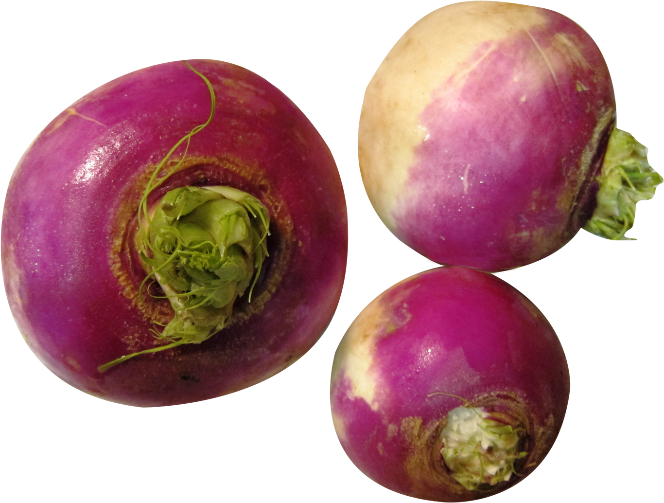 Free Png Turnip Png Images Transparent - Rutabaga Png (850x661), Png Download