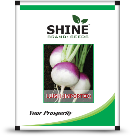 Shine Brand Seeds Hybrid Turnip Seeds - Shine Bolt Marigold Flower (480x500), Png Download