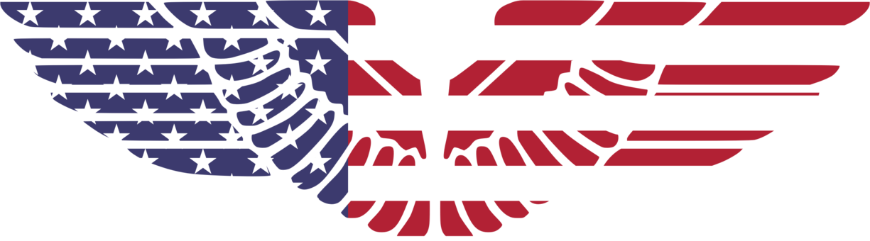 Bald Eagle Flag Of The United States Bird - American Eagle Wings Png (1225x340), Png Download