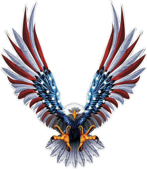 American Eagle And Flag Together (480x551), Png Download