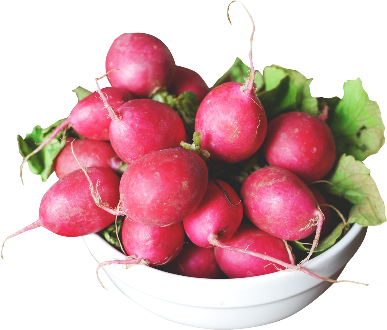 Radish In A Bowl Png Image - Radish (1431x1218), Png Download