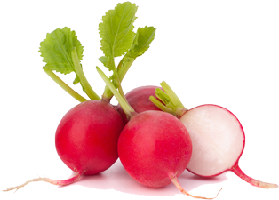 Related Png Images - Vagabond House Radish Dip Bowls (612x225), Png Download