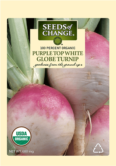 Organic Purple Top White Globe Turnip Seeds - Seeds Of Change Quinoa & Brown Rice (573x573), Png Download