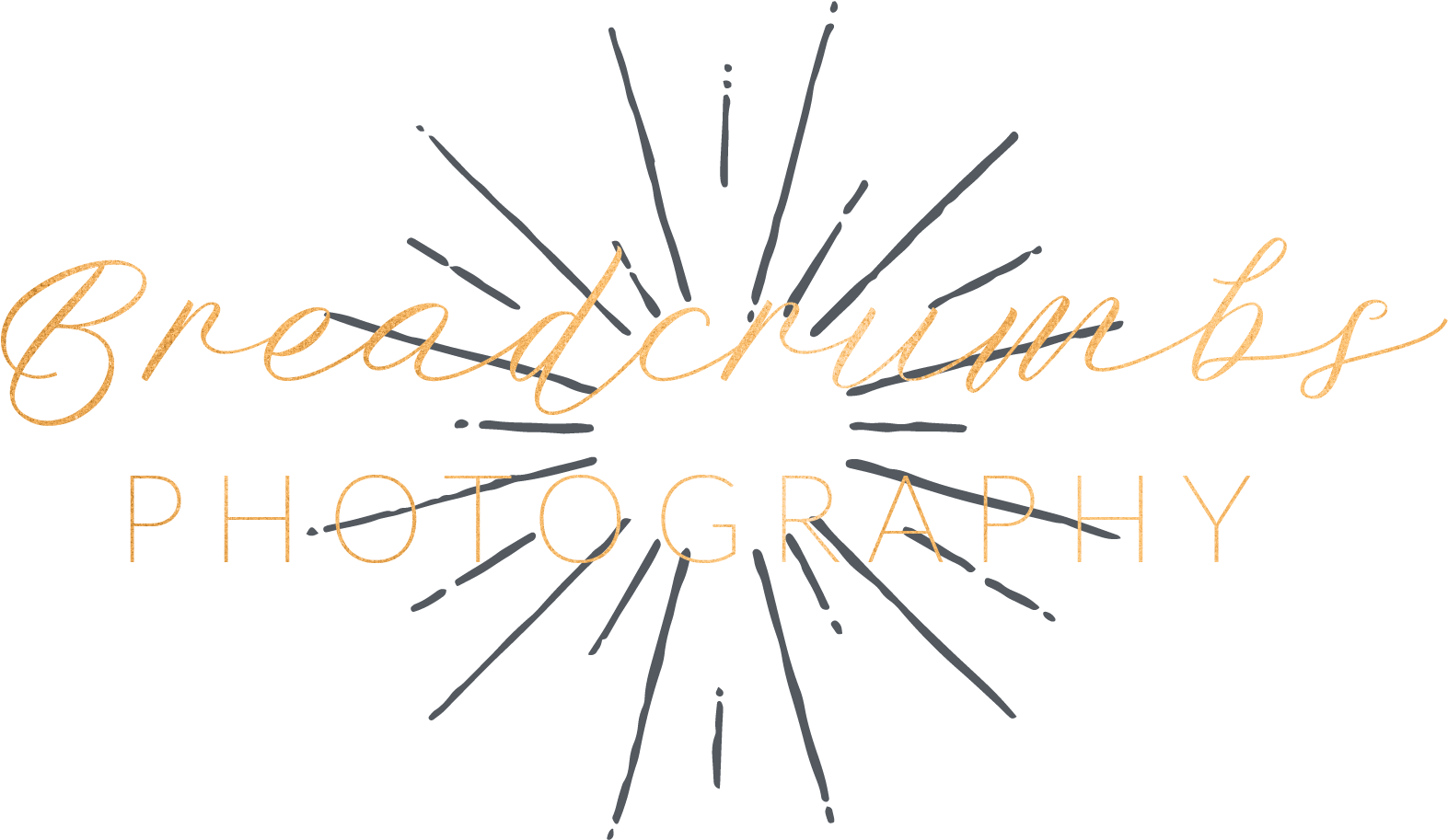Cropped Bp Logo 04 U2013 Breadcrumbs Photography - Circle (2084x963), Png Download