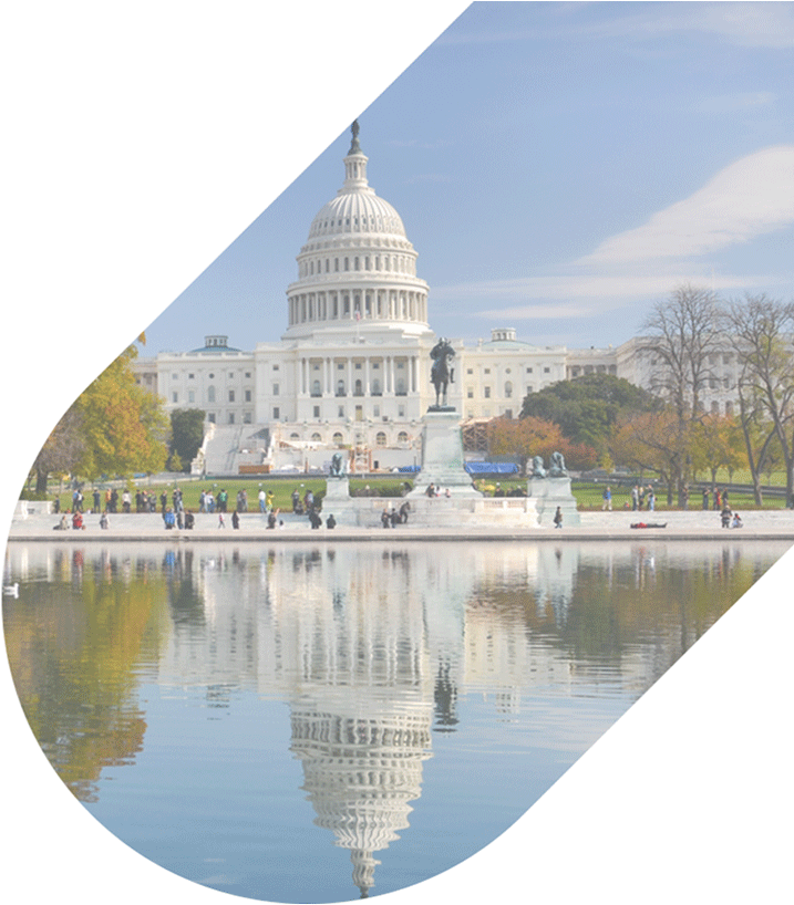 202 250 3441 Our Agents Are Available 24/7 - Tidal Basin Vs Reflecting Pool (721x826), Png Download