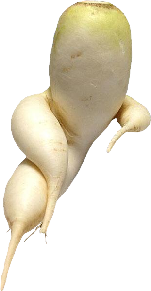 Cutout - Radish (605x807), Png Download