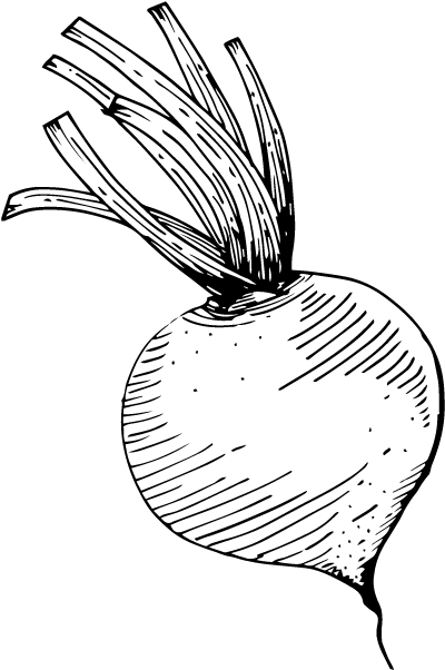 Central Coast Nutritionist Turnip - Turnip (938x938), Png Download