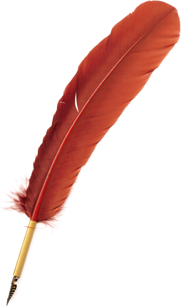 Estas Imágenes Para Imprimir Son Exclusivamente Para - Plumas De Aves Rojas (772x1292), Png Download