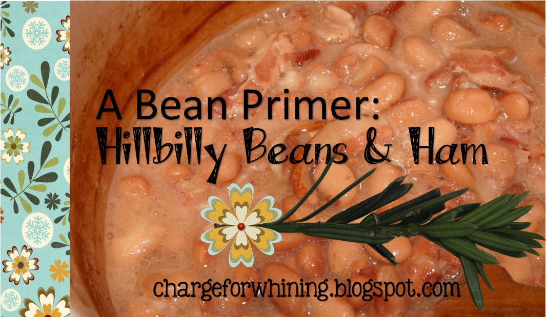A Bean Primer (1098x757), Png Download
